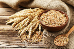 gluten free specialty grains supplier image